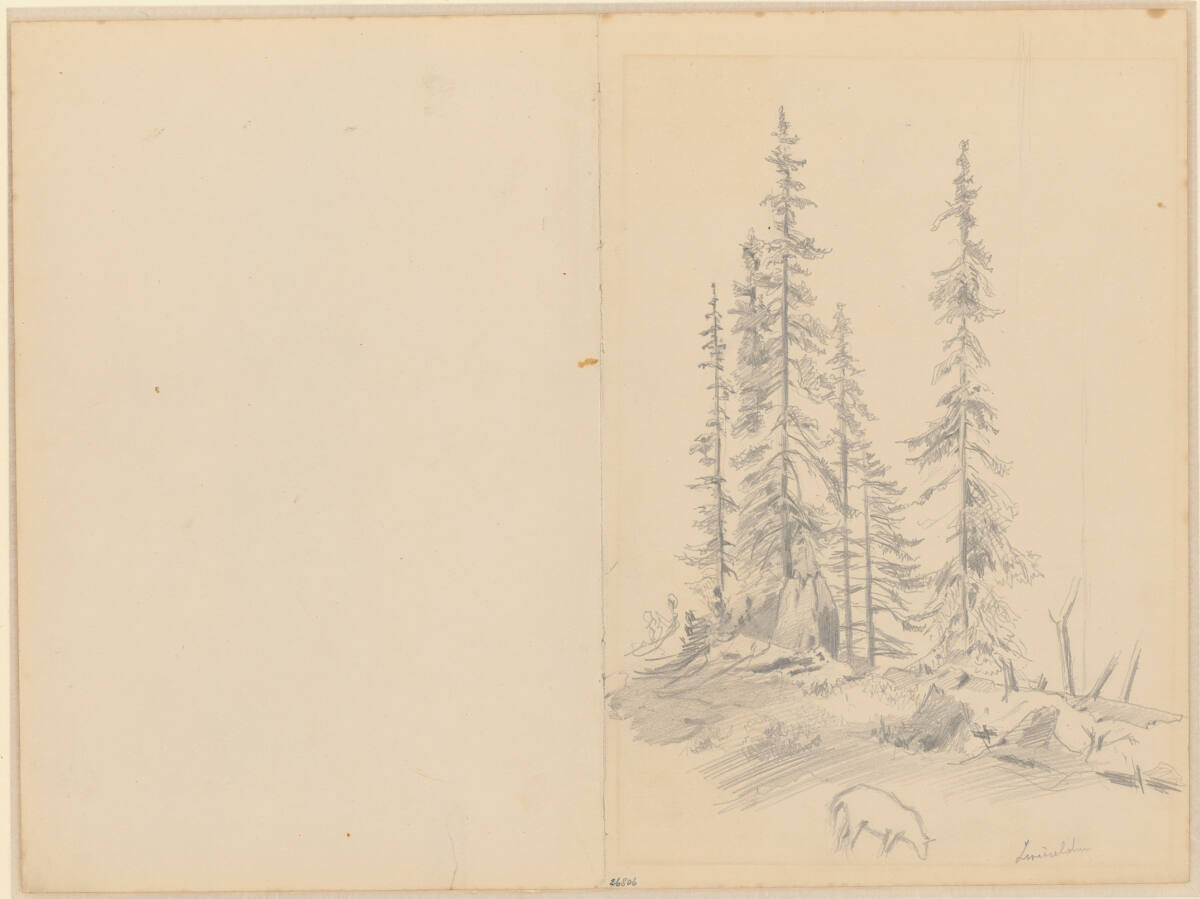 Große Fichten auf der Zwieselalm, Carl Schuch
