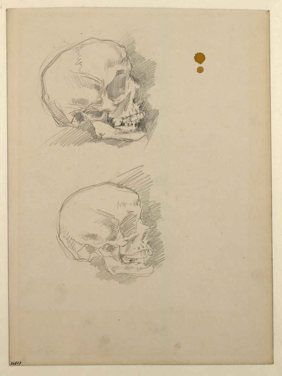 Zwei Totenköpfe, Profil nach rechts, Carl Schuch
