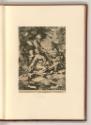 Federico Fiori, detto il Baroccio; Giorgio Vasari, detto Giorgio Aretino, Die Kirschenmadonna, …