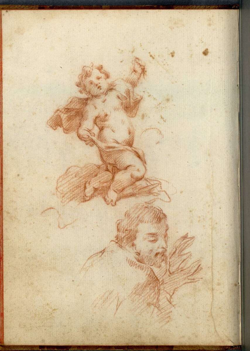 Putto, Kopfstudie, Bartolomeo Altomonte