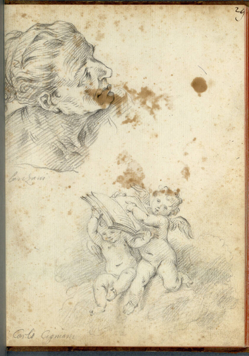 Frauenkopf, zwei Putti, Bartolomeo Altomonte