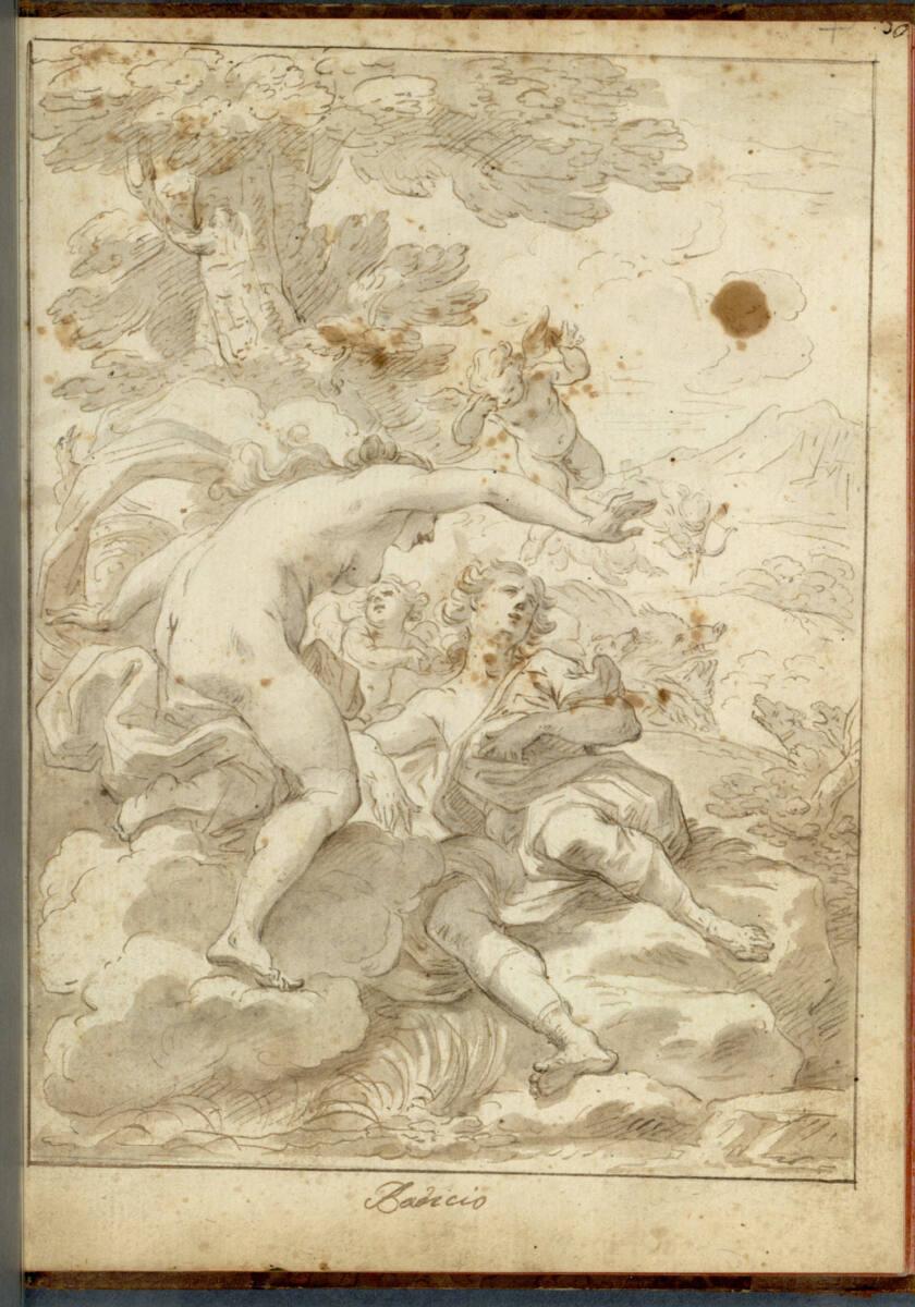 Bartolomeo Altomonte, Tod des Adonis, Inv. Nr.: 26879/30