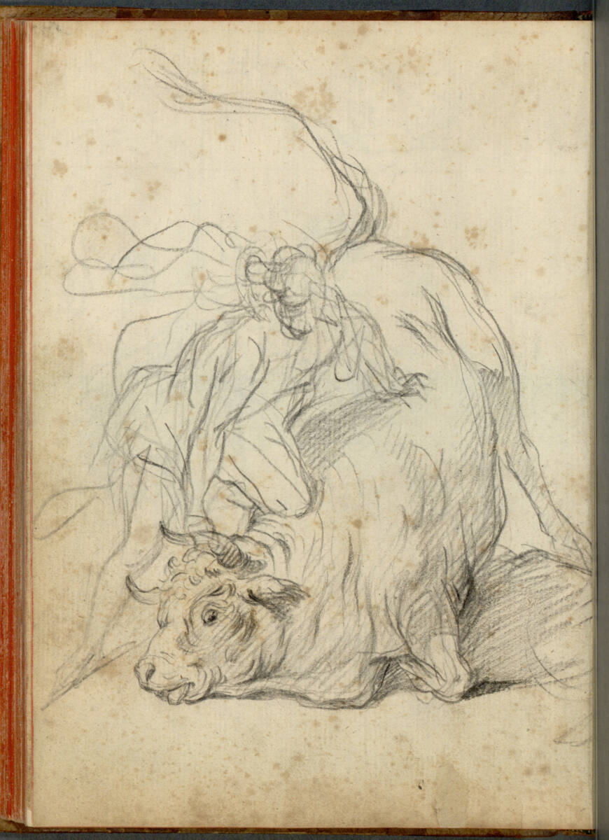 Herkules und der Kretische Stier (?), Bartolomeo Altomonte