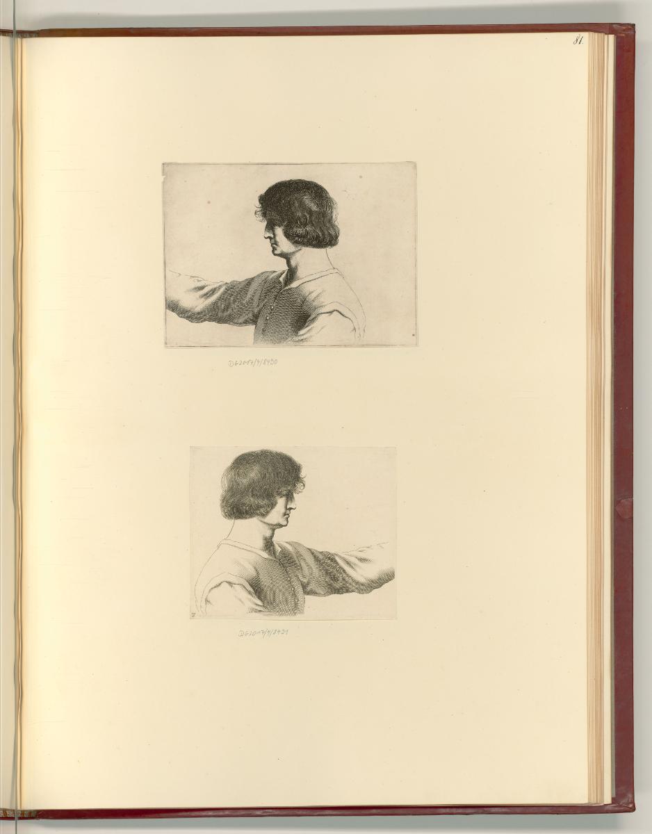 Francesco Barbieri, detto il Guercino da Cento Vol. IV., Brustbild eines jungen Mannes, Inv. Nr…