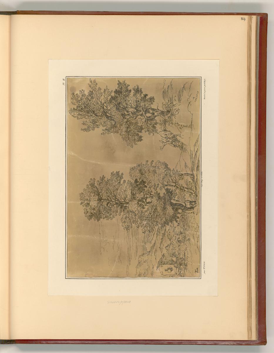 Tiziano Vecellio V, Baumlandschaft, Inv. Nr.: Italien nach Sektionen II/42, It/II/42/89