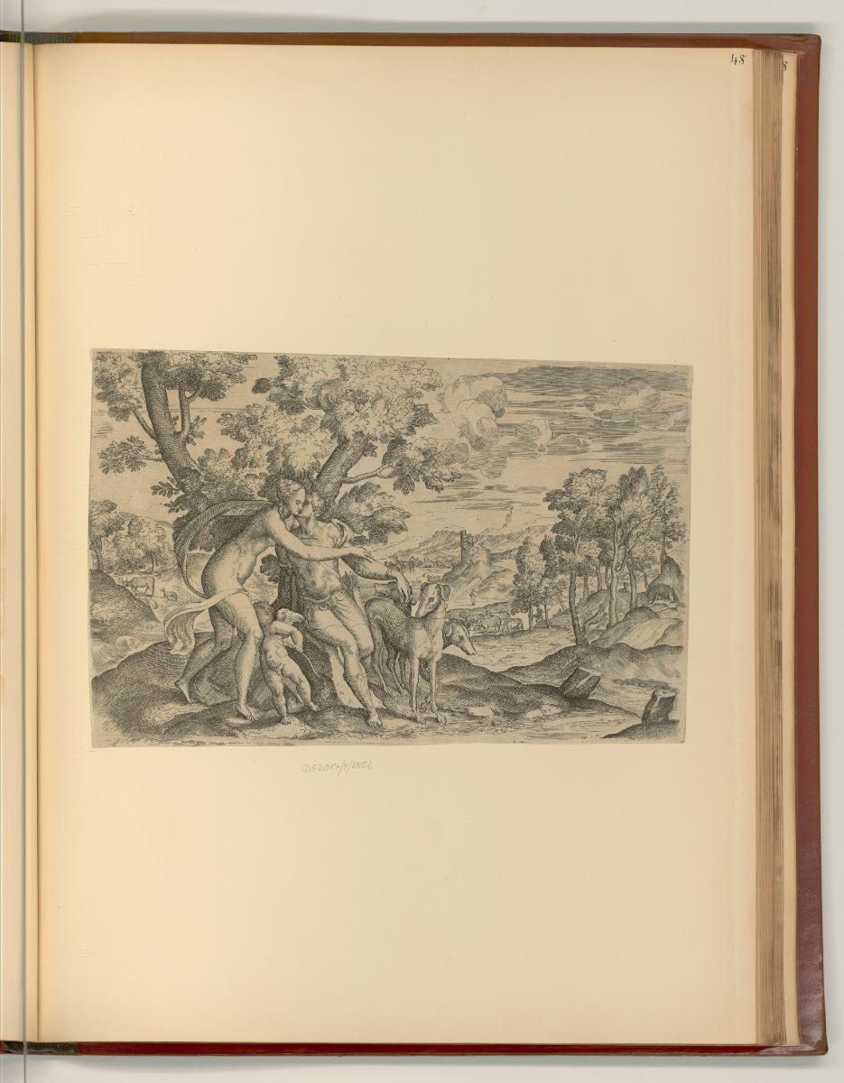 Tiziano Vecellio IV, Venus und Adonis, Inv. Nr.: Italien nach Sektionen II/41, It/II/41/48