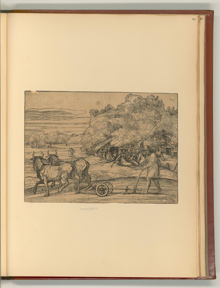 Tiziano Vecellio IV, Landmann mit Ochsenpflug, Inv. Nr.: Italien nach Sektionen II/41, It/II/41…