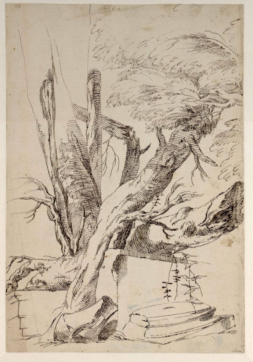 Ruinenwildnis, Paul Troger