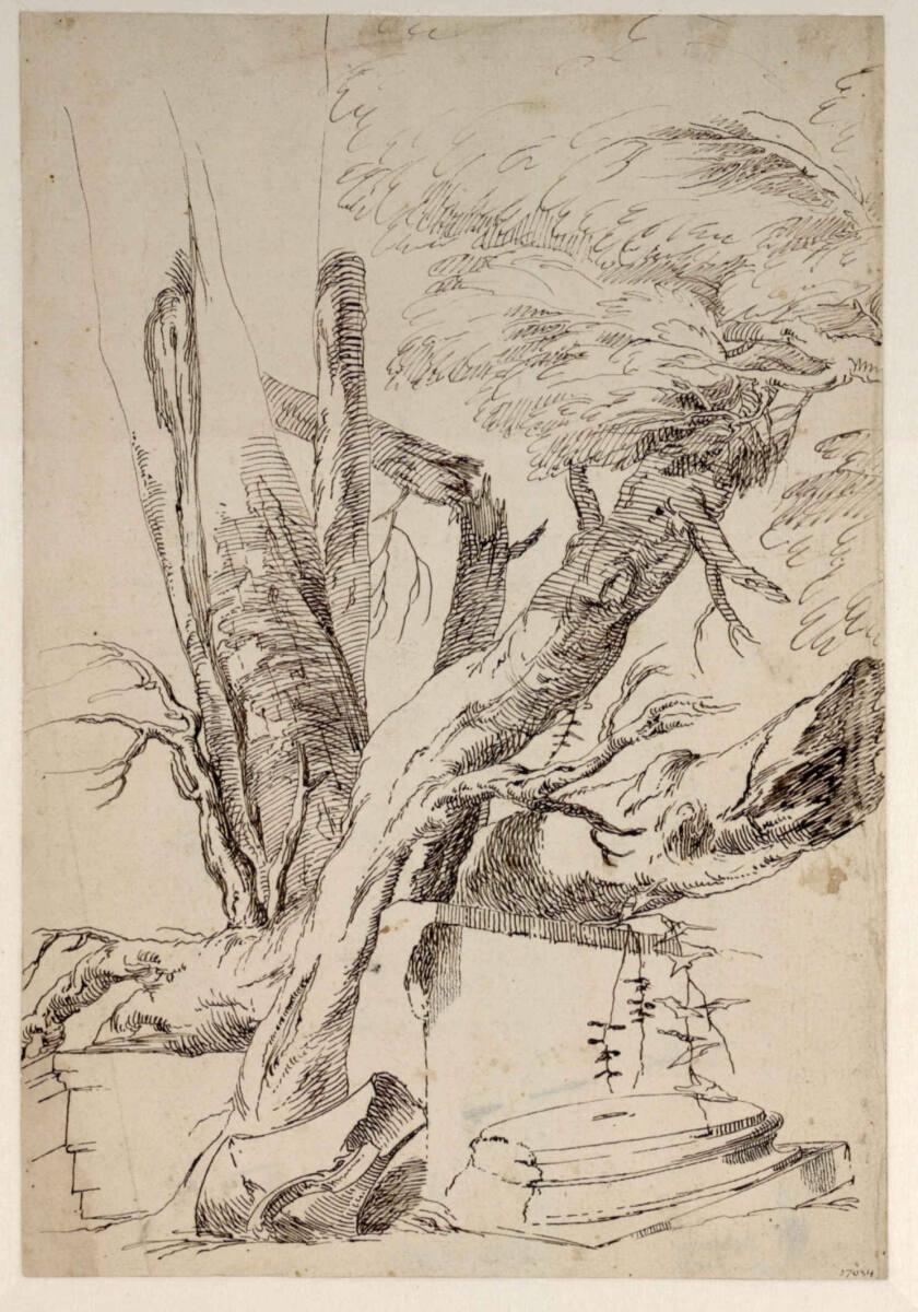 Paul Troger, Ruinenwildnis, Inv. Nr.: 27034