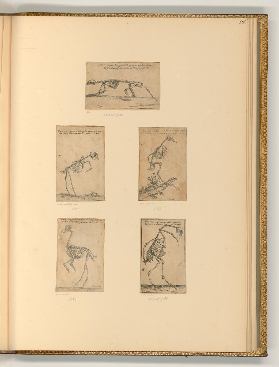 Andrea Schiavone. Battista e Marco  Agnolo del Moro. Battista Fontana. Filippo di Liagno
, Tie…
