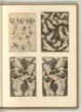 Rocco Marconi. Giacomo Robusti, d. Tintoretto. Sebastiano a Valentinis, da Udine. Pasquale Otti…
