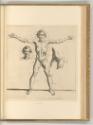 Raffaelle Schiaminossi da Borgo S. Sepolcro., Anatomische Studie eines männlichen Körpers, Inv.…