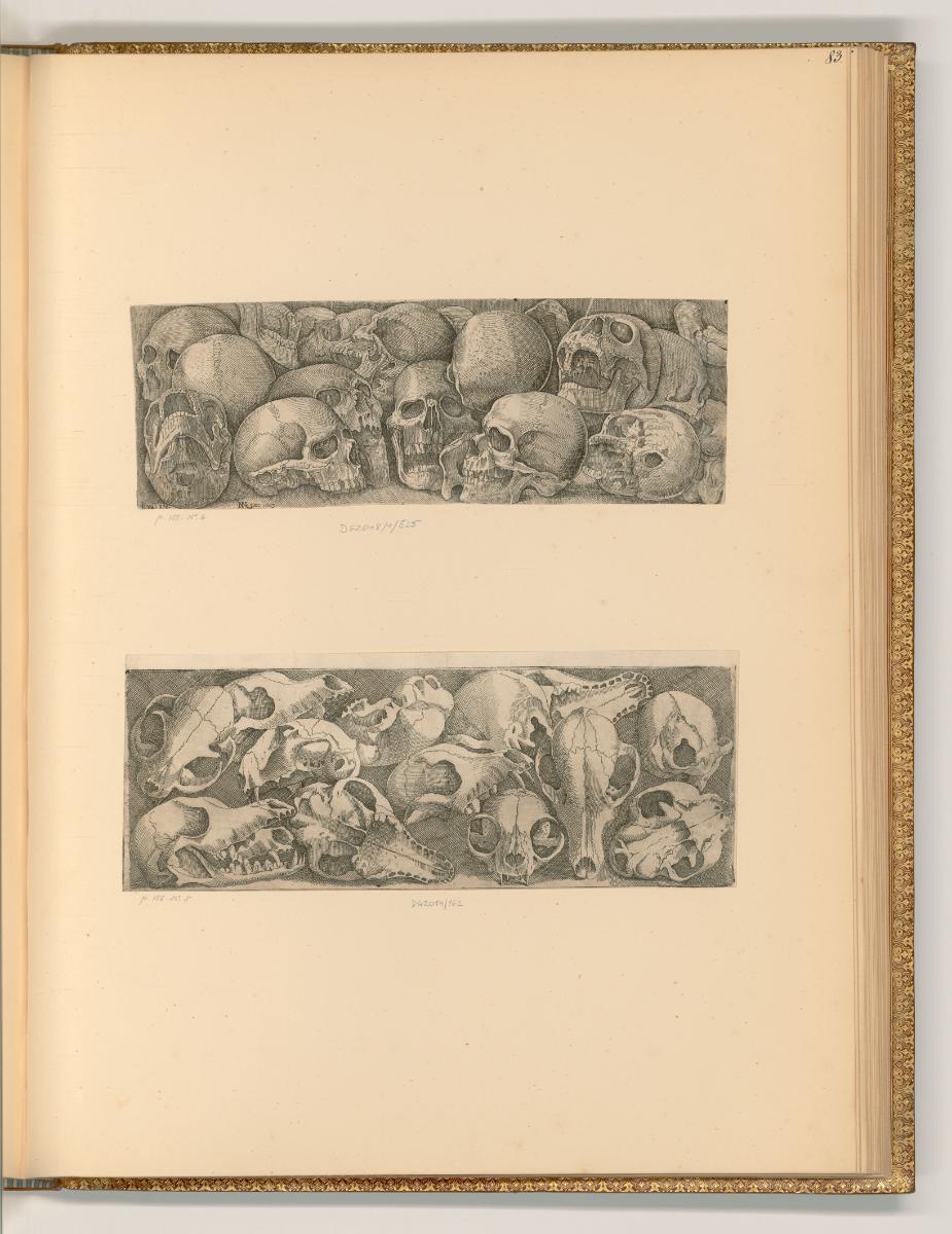 Giovanni Battista Franco gen. Semolei, Giambattista Franco, Veneziano, Skelett des Schädels, In…