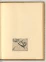 Francesco Brizi; Guido Reni; Bald. Aloisio d. Galanino; Giovanni Lanfranco; Sisto Badalocchio; …