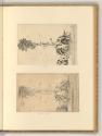 Lodovico Mattioli; Giuseppe Maria Crespi, Blühende Aloe, Inv. Nr.: Italien nach Sektionen III/2…