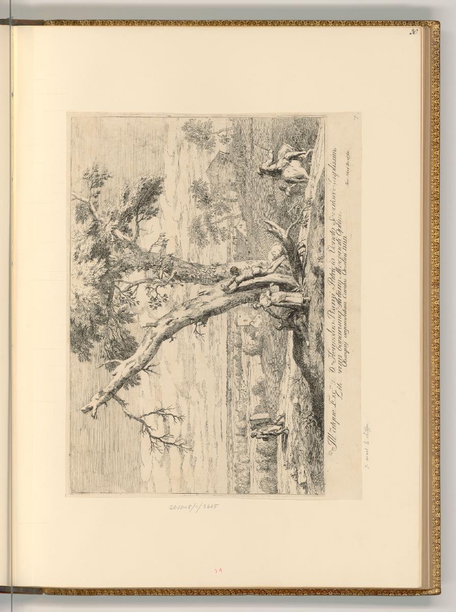 A. Balestra; P. Rotari; G. Amigoni; M. Ricci; A. Canale, Landschaft mit Obstbaum, Inv. Nr.: Ita…
