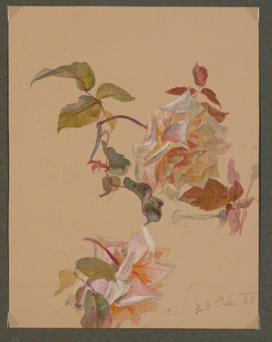 Marie Lippert-Hoerner, Zwei halbverwelkte Rosen, Inv. Nr.: 27537