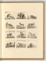 Stefano della Bella. Vol. II., Tiere, Inv. Nr.: Italien nach Sektionen III/28, It/III/28/31