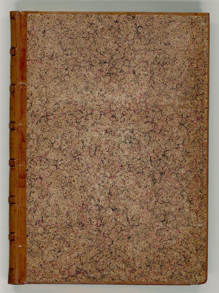 Paradisi detto il Paradisi; Cav. Carlo Rainaldi; Lod. Scaramuccia; Mat. Piccioni; Cav. Giac. Br…