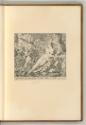 Paradisi detto il Paradisi; Cav. Carlo Rainaldi; Lod. Scaramuccia; Mat. Piccioni; Cav. Giac. Br…