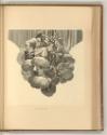 Dom. Mar. Bonavera; Giov. Ant. Lorenzini; Giac M. Giovannini; Aurel. Milani; Fr. Ant. Meloni, E…
