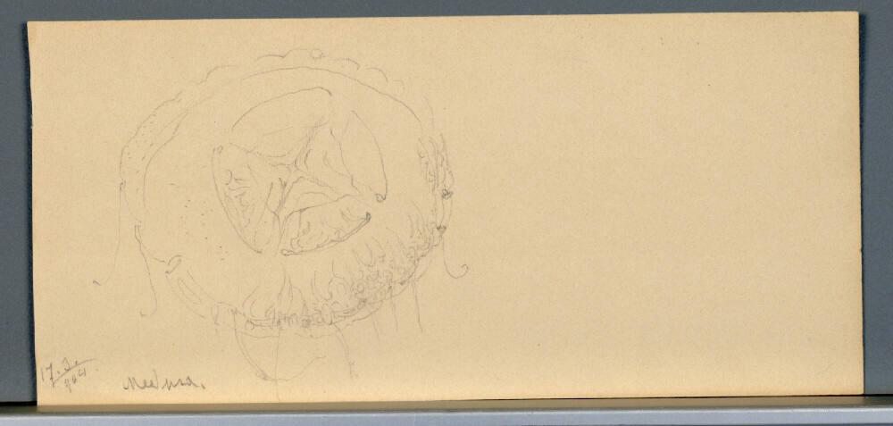 Marie Lippert-Hoerner, Medusa, Inv. Nr.: 27652