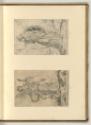 Hieronymus Cock (Verleger), Astrologia; Pallas, Inv. Nr.: Niederlande nach Sektionen 3, NL/3/30
