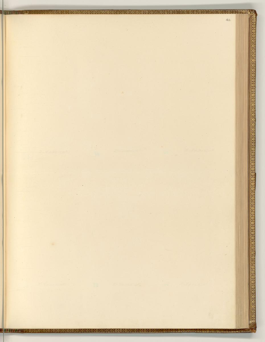 Hieronymus Cock (Verleger), Leerseite durch Entnahme, Inv. Nr.: Niederlande nach Sektionen 3, N…
