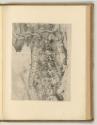 Hieronymus Cock (Verleger), Plaustrum Belgicum (Der Belgische Wagen), Inv. Nr.: Niederlande nac…