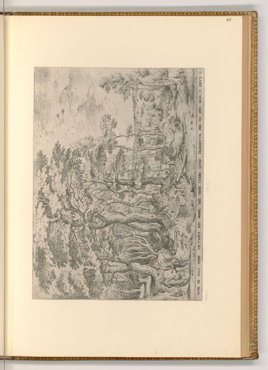 Jacob Cornelisz van Oostsanen, Jan Wellens de Cock, Pieter Coecke van Aelst, Hieronymus Cock, L…