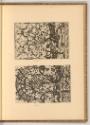 Corneille Matsis. Labert Suterman dit Suavius. Jean et Lucas de Deutecom., Kartuschen mit Grote…