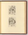 Theodore, Jean Theodore, et Jean Israel de Bry, Buchstaben C und D, Inv. Nr.: Holland nach Sekt…