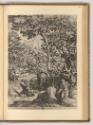 Cornelis Cort, Hl. Onophrios in der Wildnis, Inv. Nr.: Holland nach Sektionen I/10, H/I/10/133