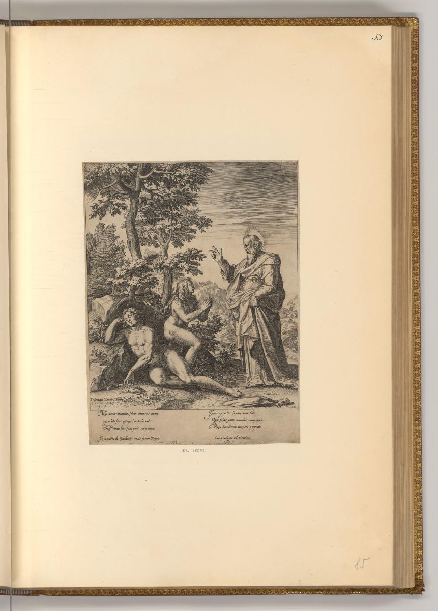 Cornelis Cort, Die Erschaffung Evas, Inv. Nr.: Holland nach Sektionen I/10, H/I/10/53