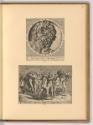 Philippe Galle Vol. II., Der Kopf des Laokoon; Der Triumph des Bacchus, Inv. Nr.: Holland nach …