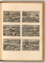 Adrienet Iean Collaert Vol. II, Diverse Fische in der Natur, Inv. Nr.: Holland nach Sektionen I…