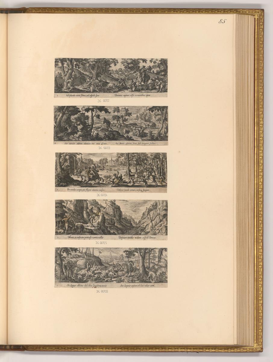 Adrienet Iean Collaert Vol. II, Jagden, Inv. Nr.: Holland nach Sektionen I/24, H/I/24/85