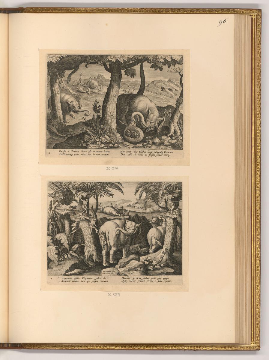 Adrienet Iean Collaert Vol. II, Elefantenjagd, Inv. Nr.: Holland nach Sektionen I/24, H/I/24/96