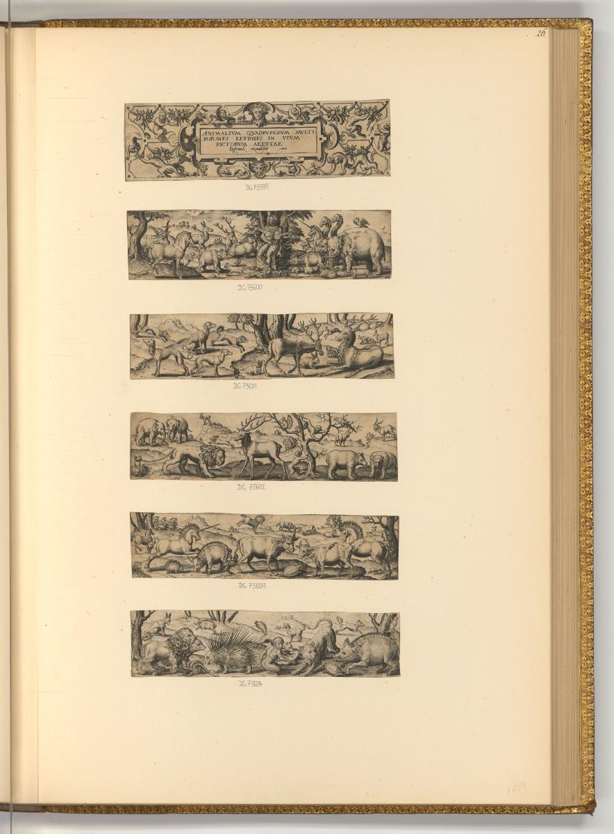 Abraham de Bruyn, Pieter Maes, Julius Goltz, Conradus Goltzius, Jacques Goltzius, Raphael de Me…