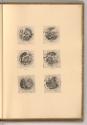 Crispin de Pass d'Armuyden en Zelande et Crispin, Guillaume, Simon et Madeleine de Pass, ses en…