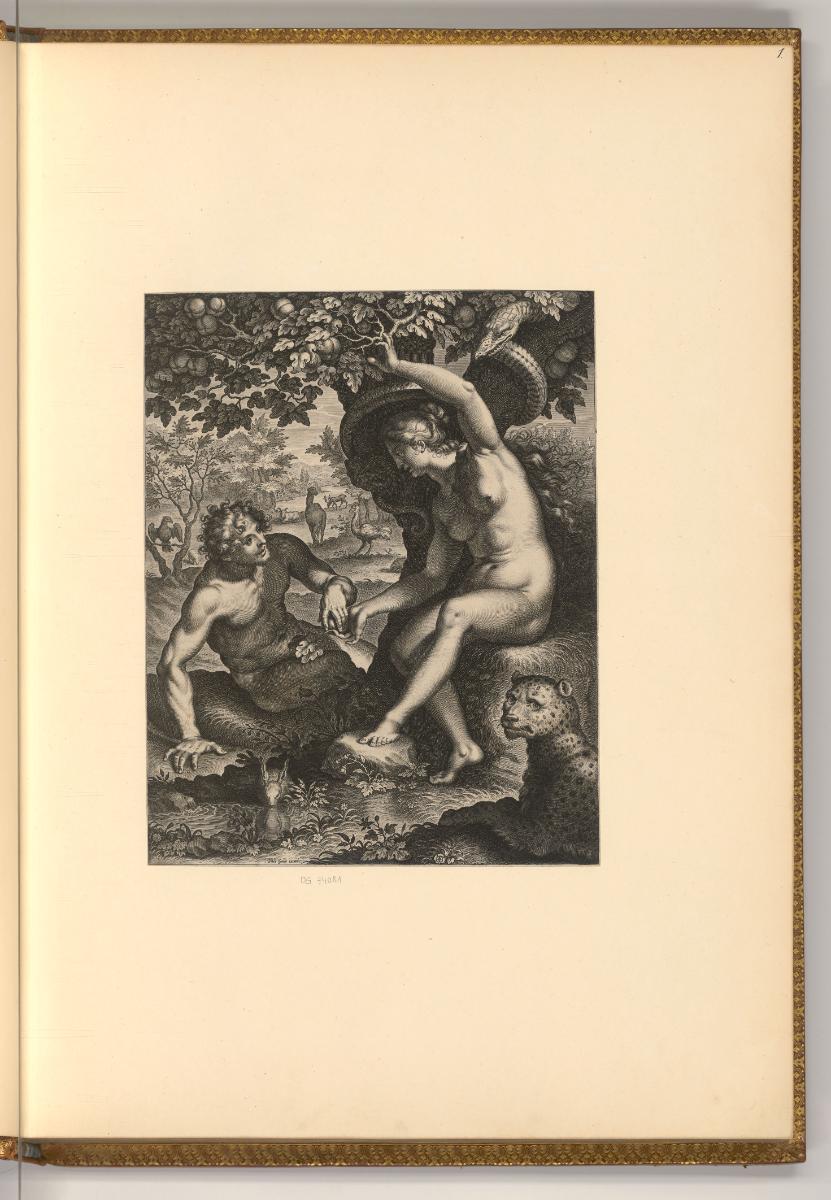 Cornelis Galle der Ältere, Der Sündenfall, Inv. Nr.: Holland nach Sektionen I/31, H/I/31/1