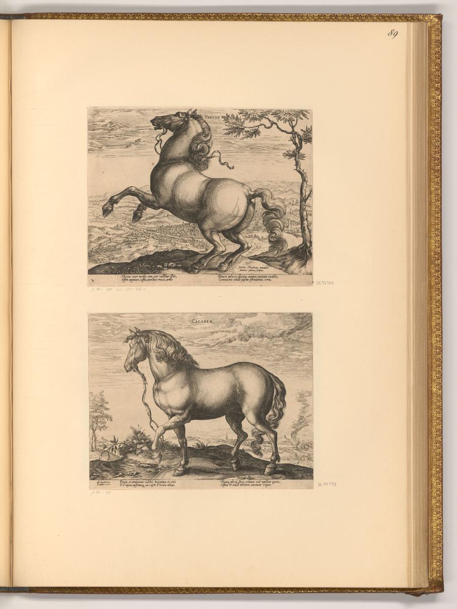 Hendrick Goltzius Vol. II., Toskanisches Pferd; Kalabrisches Pferd
, Inv. Nr.: Holland nach Se…