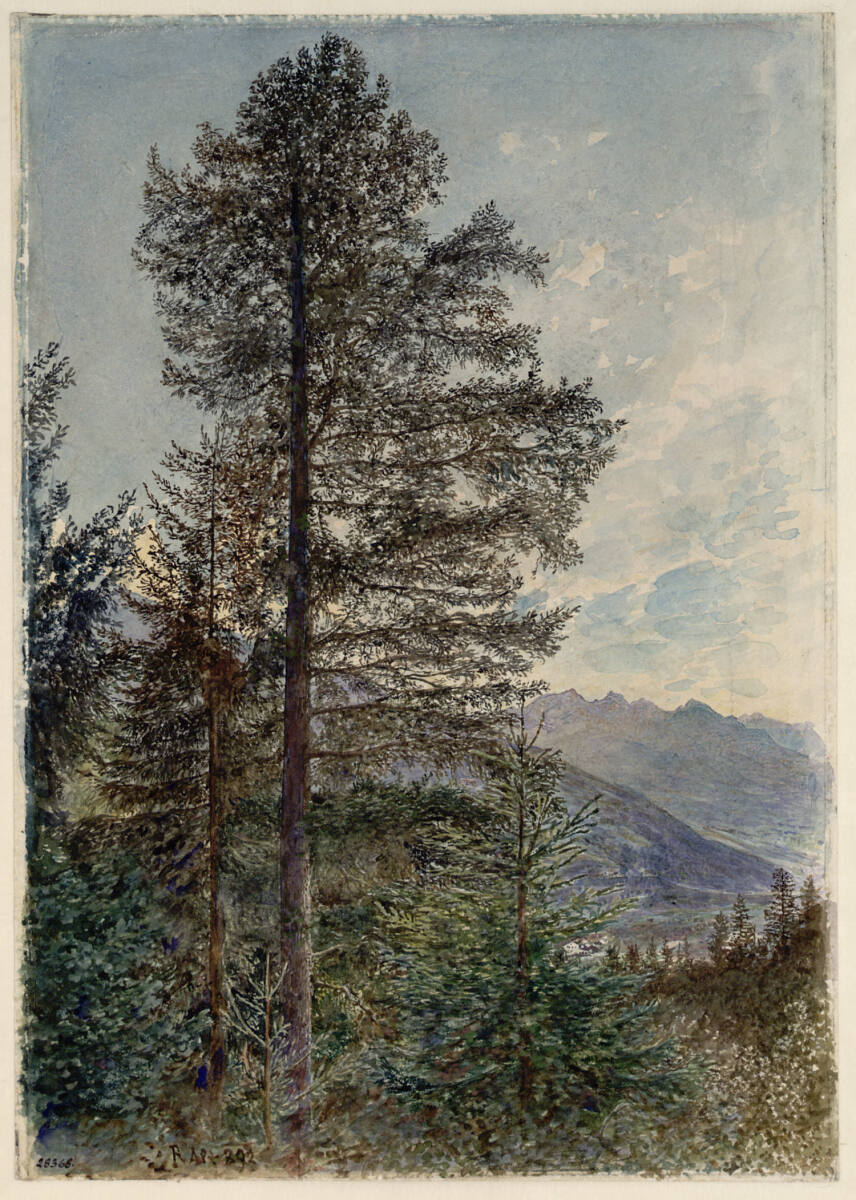 Die große Fichte, Rudolf von Alt, 1892