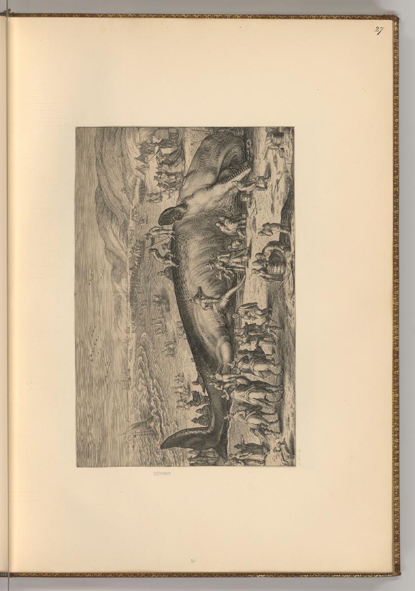Jacques Matham. Pièces composées et gravées par lui meme., Der bei Berkhey gestrandete Pottwal,…