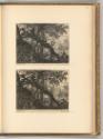 Gilles Sadeler. Vol. II., Dickicht mit Jäger, Inv. Nr.: Holland nach Sektionen I/42, H/I/42/127