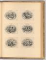 Ioris van Velde. Gisbert van Veen. Cornelis Boel., Amorum emblemata, Inv. Nr.: Holland nach Sek…