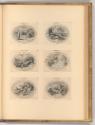 Ioris van Velde. Gisbert van Veen. Cornelis Boel., Amorum emblemata, Inv. Nr.: Holland nach Sek…