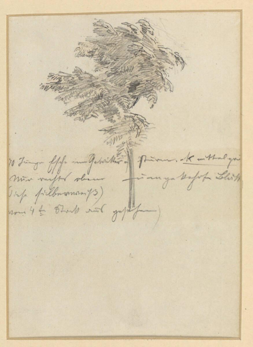 Rudolf Schick, Junge Esche im Gewittersturm, Inv. Nr.: 28733v