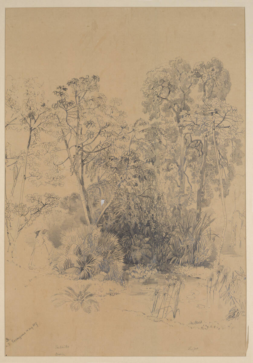 Vegetationsgruppe, Josef Selleny, 1857