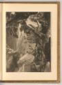 Pieter Nolpe. Salomon Savery., Badende Nymphen, Inv. Nr.: Holland nach Sektionen I/54, H/I/54/3…